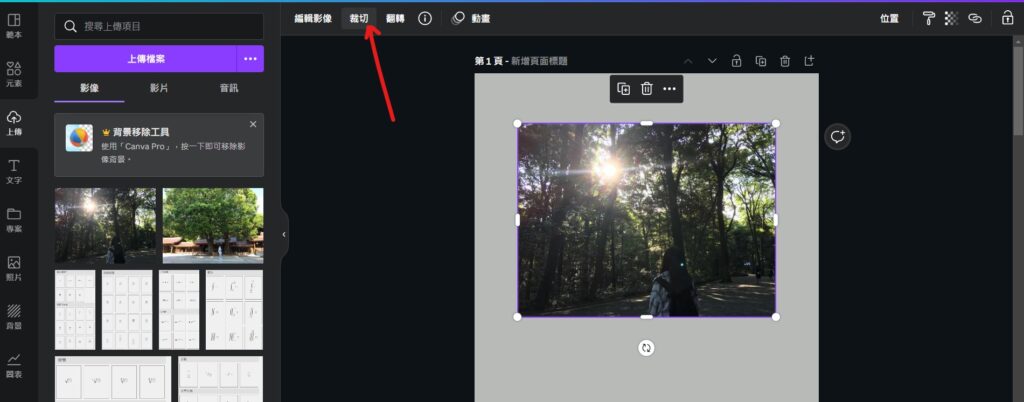 canva 裁切