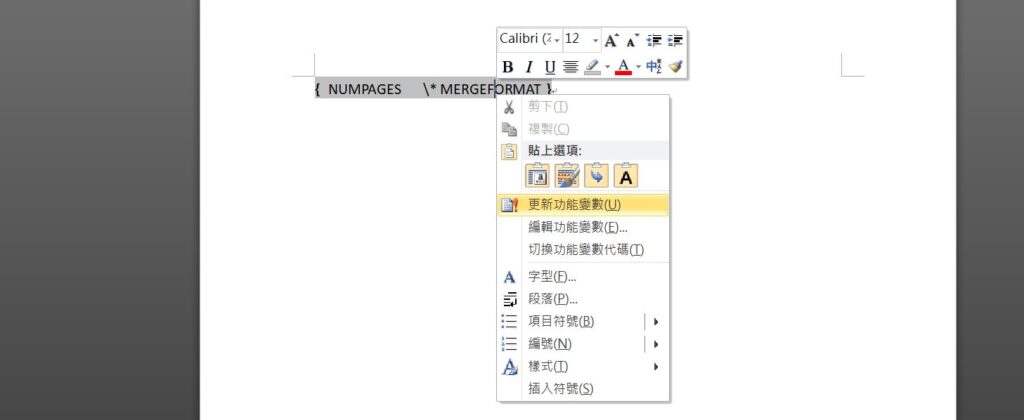 word 更新功能變數